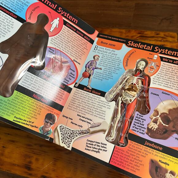 Vintage 2002 Uncover HUMAN BODY 3-D Anatomy Hardcover Book - Picture 3 of 12